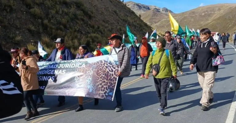 Una ley que nadie pidió, una marcha que no se pudo parar